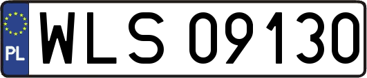 WLS09130