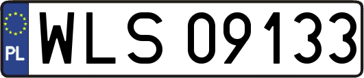 WLS09133