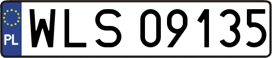 WLS09135