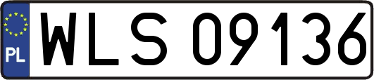 WLS09136