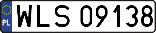 WLS09138