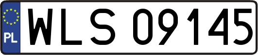 WLS09145