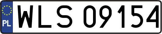 WLS09154