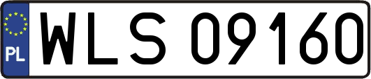 WLS09160