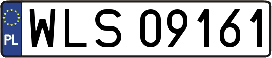 WLS09161