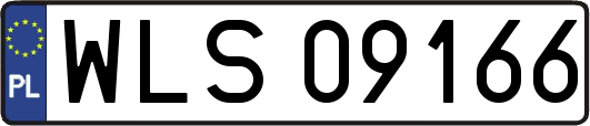 WLS09166