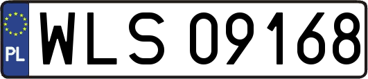 WLS09168
