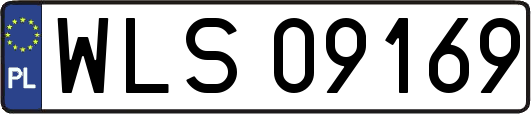 WLS09169