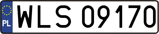 WLS09170