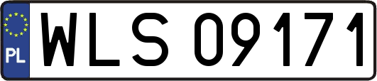 WLS09171