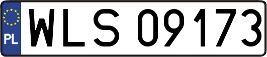 WLS09173