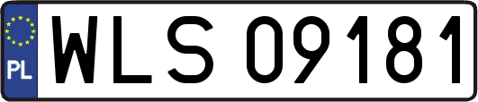 WLS09181