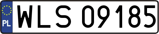 WLS09185
