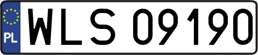 WLS09190