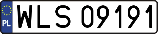 WLS09191