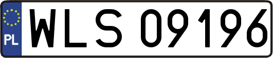 WLS09196