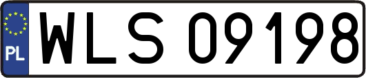 WLS09198