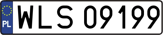 WLS09199