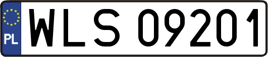 WLS09201