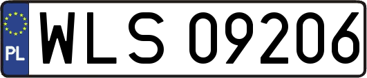 WLS09206