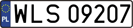 WLS09207