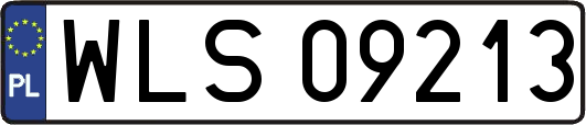 WLS09213