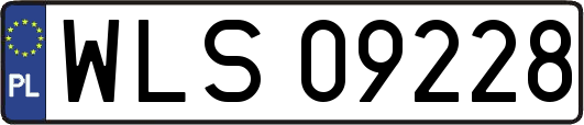 WLS09228