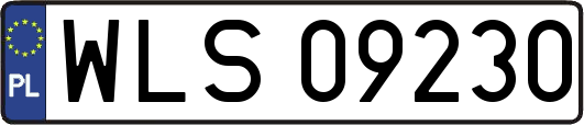 WLS09230