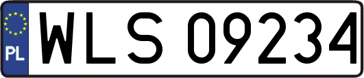 WLS09234