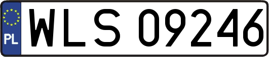 WLS09246