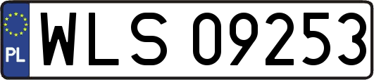 WLS09253