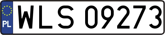 WLS09273