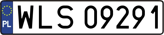WLS09291
