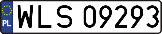 WLS09293