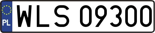 WLS09300