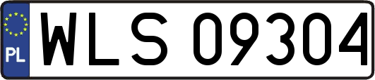WLS09304