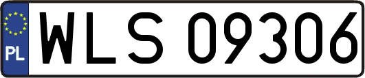 WLS09306