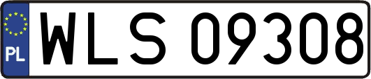 WLS09308