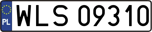 WLS09310