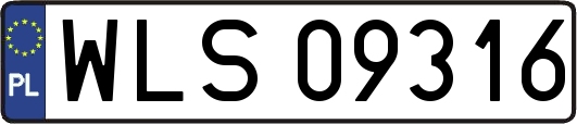 WLS09316