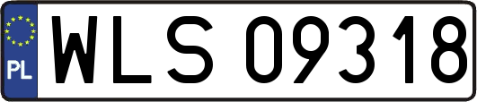 WLS09318