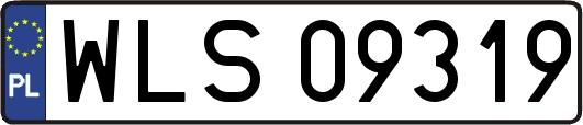 WLS09319