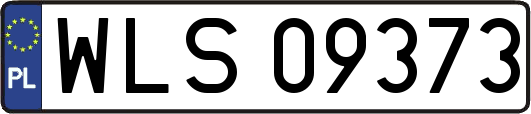WLS09373