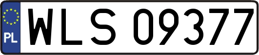 WLS09377