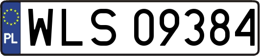 WLS09384