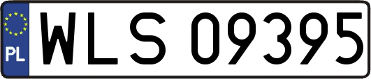 WLS09395