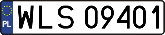 WLS09401