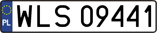 WLS09441