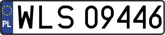 WLS09446