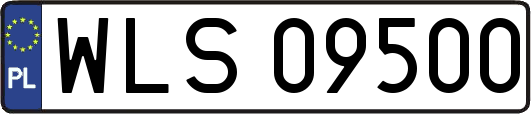 WLS09500